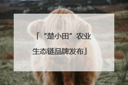 “楚小田”农业生态链品牌发布