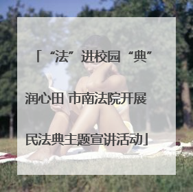 “法”进校园“典”润心田 市南法院开展民法典主题宣讲活动