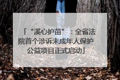 “溪心护苗”：全省法院首个涉诉未成年人保护公益项目正式启动
