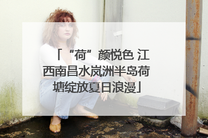 “荷”颜悦色 江西南昌水岚洲半岛荷塘绽放夏日浪漫