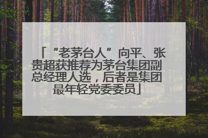 “老茅台人”向平、张贵超获推荐为茅台集团副总经理人选，后者是集团最年轻党委委员