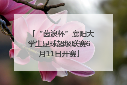 “茵浪杯”襄阳大学生足球超级联赛6月11日开赛
