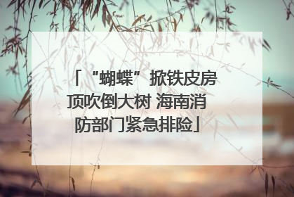 “蝴蝶”掀铁皮房顶吹倒大树 海南消防部门紧急排险