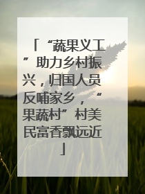 “蔬果义工”助力乡村振兴，归国人员反哺家乡，“果蔬村”村美民富香飘远近