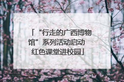 “行走的广西博物馆”系列活动启动 红色课堂进校园