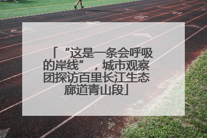 “这是一条会呼吸的岸线”，城市观察团探访百里长江生态廊道青山段