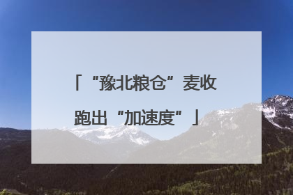 “豫北粮仓”麦收跑出“加速度”