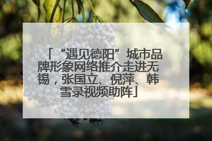 “遇见德阳”城市品牌形象网络推介走进无锡，张国立、倪萍、韩雪录视频助阵