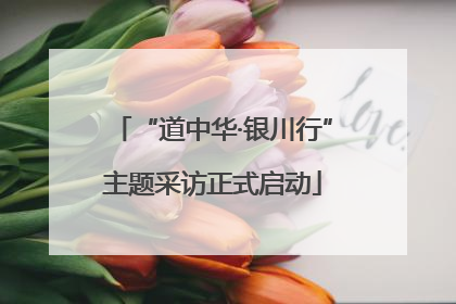 “道中华·银川行”主题采访正式启动