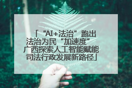 “AI+法治”跑出法治为民“加速度” 广西探索人工智能赋能司法行政发展新路径