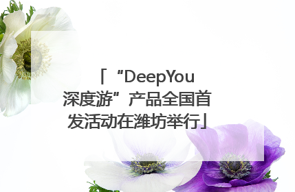 “DeepYou深度游”产品全国首发活动在潍坊举行