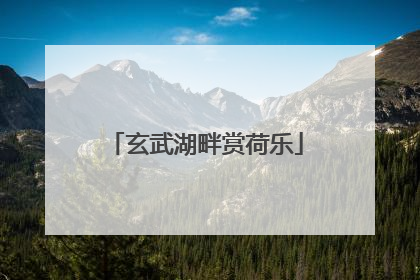 玄武湖畔赏荷乐