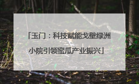 玉门：科技赋能戈壁绿洲 小院引领蜜瓜产业振兴