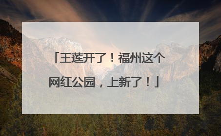 王莲开了！福州这个网红公园，上新了！