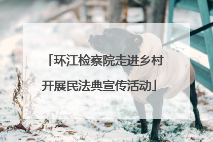环江检察院走进乡村开展民法典宣传活动