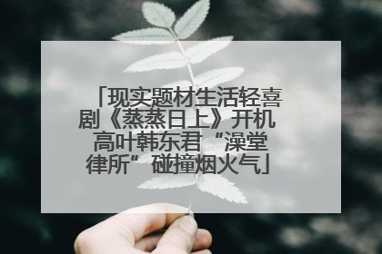现实题材生活轻喜剧《蒸蒸日上》开机 高叶韩东君“澡堂律所”碰撞烟火气