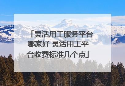 灵活用工服务平台哪家好 灵活用工平台收费标准几个点