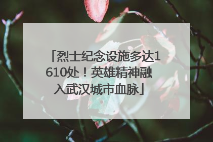烈士纪念设施多达1610处！英雄精神融入武汉城市血脉