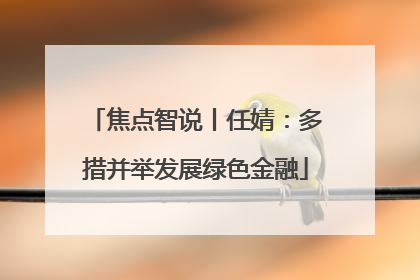 焦点智说丨任婧：多措并举发展绿色金融