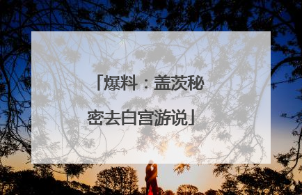 爆料：盖茨秘密去白宫游说