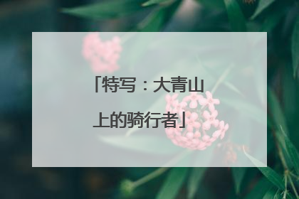 特写：大青山上的骑行者