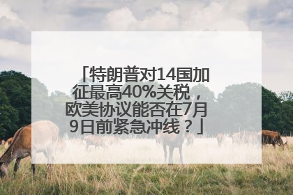 特朗普对14国加征最高40%关税，欧美协议能否在7月9日前紧急冲线？
