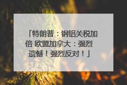 特朗普：钢铝关税加倍 欧盟加拿大：强烈遗憾！强烈反对！