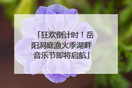 狂欢倒计时！岳阳洞庭渔火季湖畔音乐节即将启航