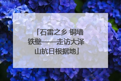 石雷之乡 铜墙铁壁——走访大泽山抗日根据地