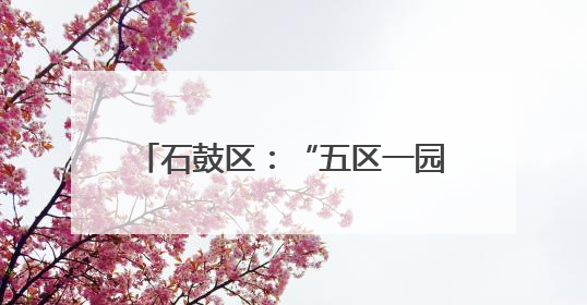 石鼓区：“五区一园一线”战略赋能 河湖长制绘就生态新图景