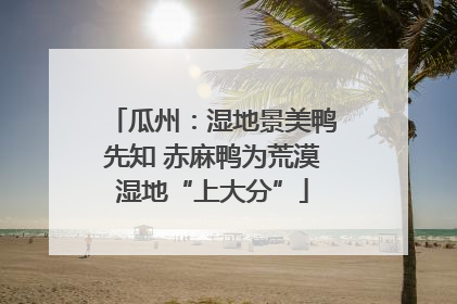 瓜州：湿地景美鸭先知 赤麻鸭为荒漠湿地“上大分”