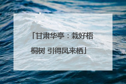 甘肃华亭：栽好梧桐树 引得凤来栖