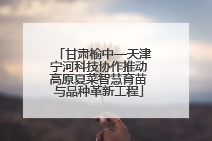 甘肃榆中—天津宁河科技协作推动高原夏菜智慧育苗与品种革新工程