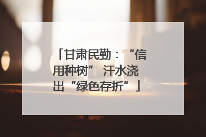 甘肃民勤：“信用种树” 汗水浇出“绿色存折”