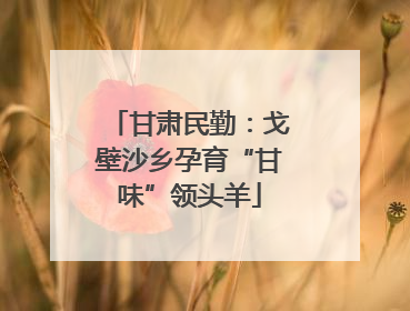 甘肃民勤：戈壁沙乡孕育“甘味”领头羊