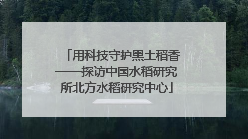 用科技守护黑土稻香——探访中国水稻研究所北方水稻研究中心