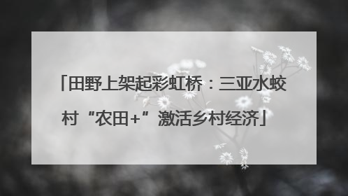 田野上架起彩虹桥：三亚水蛟村“农田+”激活乡村经济