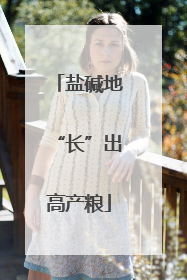 盐碱地“长”出高产粮