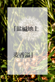 盐碱地上麦香溢