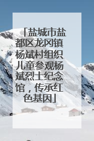 盐城市盐都区龙冈镇杨斌村组织儿童参观杨斌烈士纪念馆，传承红色基因