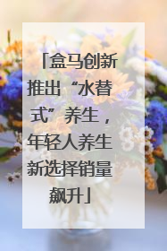盒马创新推出“水替式”养生，年轻人养生新选择销量飙升