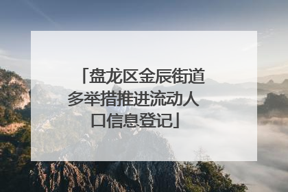 盘龙区金辰街道多举措推进流动人口信息登记