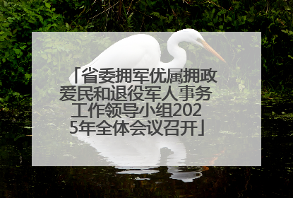 省委拥军优属拥政爱民和退役军人事务工作领导小组2025年全体会议召开