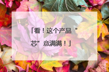 看！这个产品“芯”意满满！