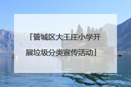 管城区大王庄小学开展垃圾分类宣传活动