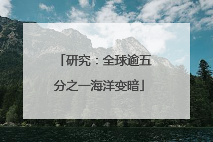 研究：全球逾五分之一海洋变暗