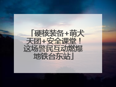 硬核装备+萌犬天团+安全课堂！这场警民互动燃爆地铁台东站