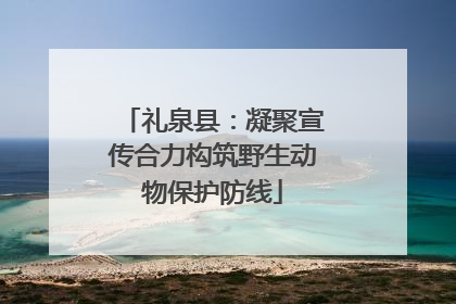 礼泉县：凝聚宣传合力构筑野生动物保护防线