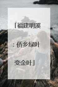福建明溪：侨乡绿叶变金叶