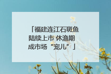 福建连江石斑鱼陆续上市 休渔期成市场“宠儿”